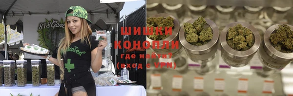 прущие грибы Аркадак