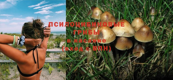 мескалин Армянск