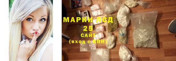 прущие грибы Аркадак