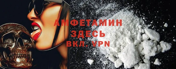 прущие грибы Аркадак