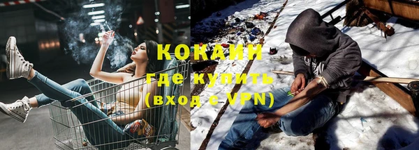 прущие грибы Аркадак