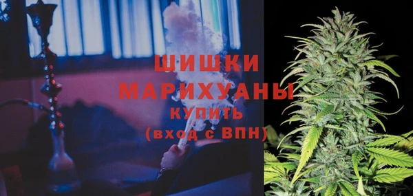 прущий лед Арсеньев